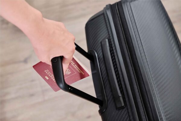 El Duelo Laboral del Profesional Emigrante: Consecuencias Psicológicas y Emocionales 2024 6 Duelo laboral del profesional emigrante